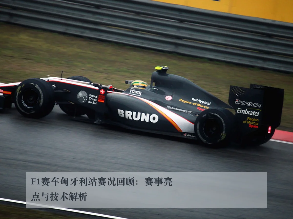 F1赛车匈牙利站赛况回顾：赛事亮点与技术解析